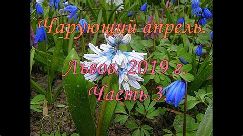 Чарующий апрель . Часть 3. Фото шоу в HD (120 фотографий) качестве ...