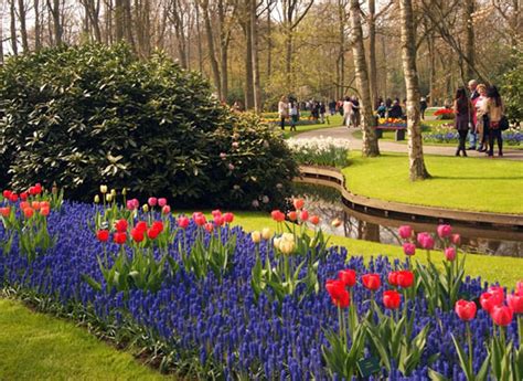 Парк Кекенхоф, Голландия: описание, фото, где находится на карте, как ...