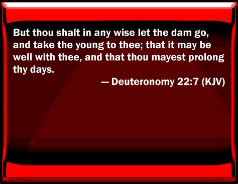 Deuteronomy 227 But You Shall In Any Wise Let The Dam Go And Take The