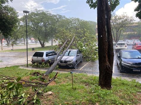 Chuva Causa Estragos Em Palmas Temporal Derrubou Estrutura Natalina E