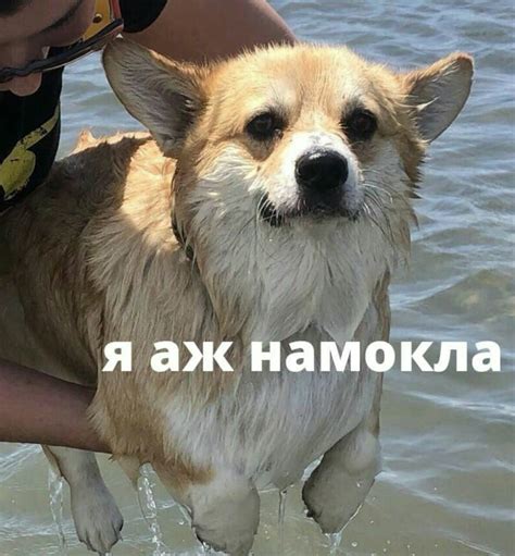 Pin by evarabesk on текст | Cute love memes, Hello memes, Cute memes