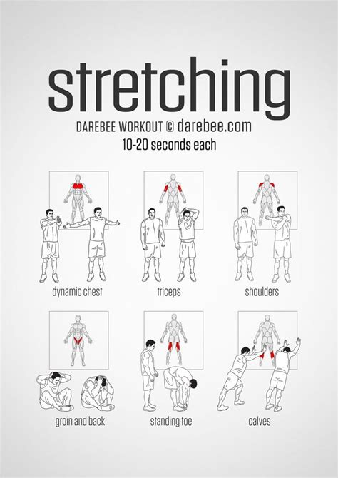 Pre Workout 2 Minute Stretching Routine Visual Guide Print Use