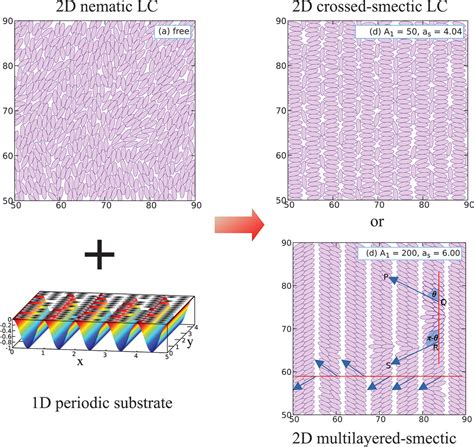 smectic phases  orientational order switching