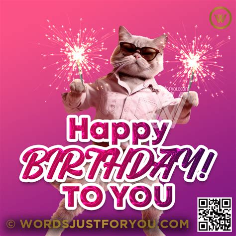 Happy Birthday Cat S 40 Animated Greeting Cards