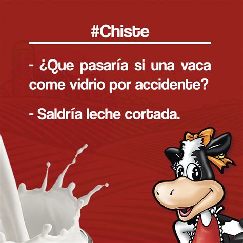 Lista 102 Foto Si Te Traigo Una Vaca Le Sacas La Leche Lleno