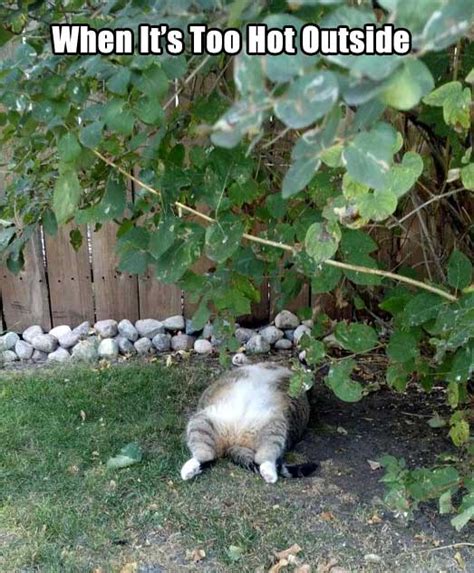 Hot Out Memes