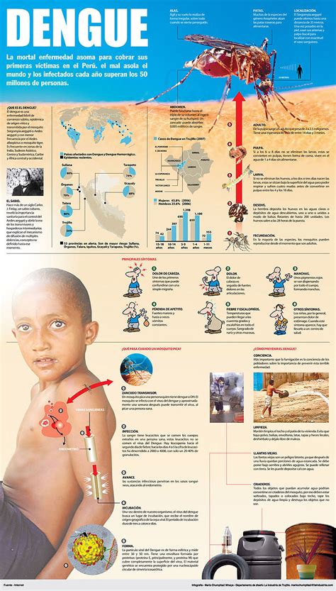 Diarios de V 2 0 Informacion sobre El Dengue en infografía