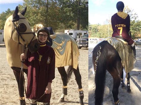 Horse Halloween Costume Harry Potter And The Golden Snitch Quidditch