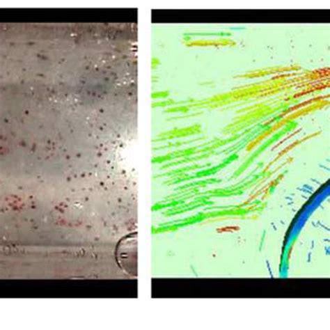 A schematic figure of the ligand-receptor binding model for ...