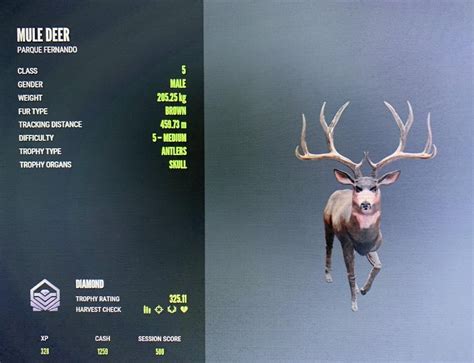 Awesome Mule Deer Rack Rhuntercallofthewild