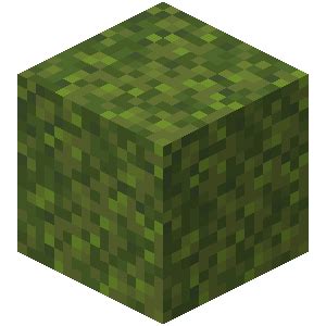 【マイクラ】茂みの特徴・入手方法・使い道を紹介【骨粉生成・装飾】 | MINEBLOG