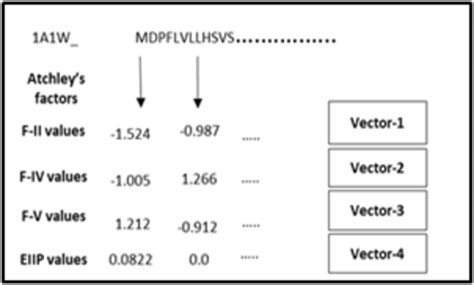 Vector representation of amino acid sequence | Download Scientific Diagram