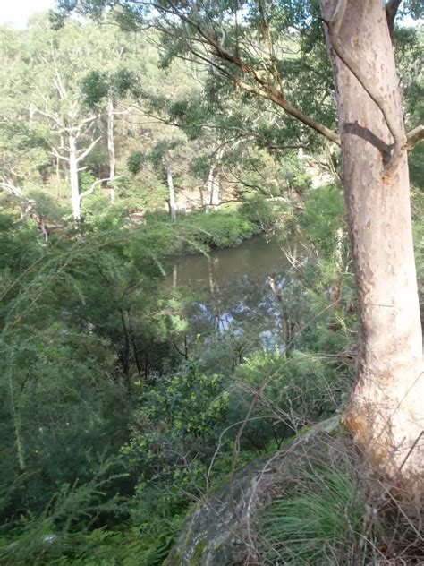Lane Cove National Park Heritage Walk Walking Track