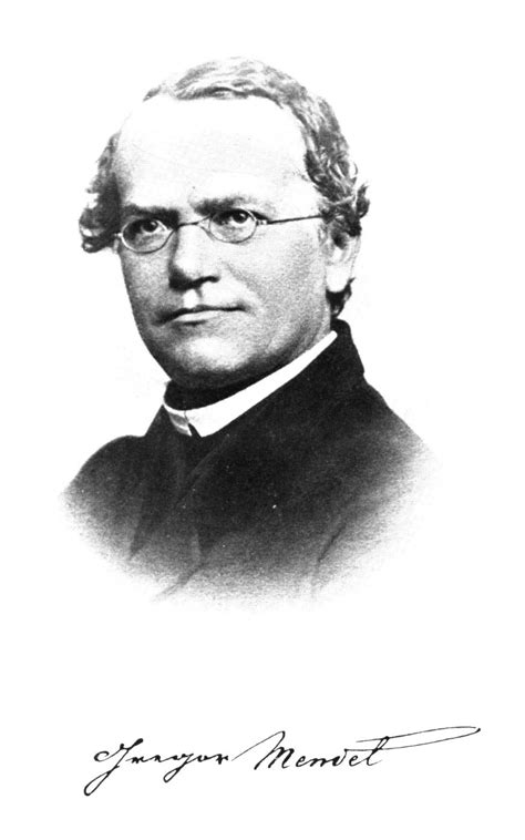 Mendel Définition Cest Quoi