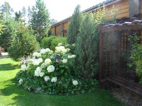 Наталия САМСОНОВА