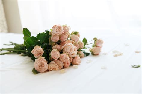 Rose Petal Lingerie SS2017 Bip Bip Swimwear Rose Petal Lingerie