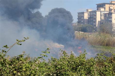 Grosso Incendio A Brancaccio Le Foto Della Nube Nera Su Palermo