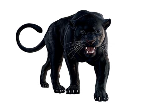 Black Panther Animal Discovery Sbabam