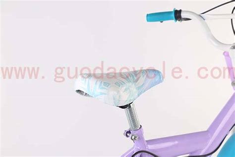 China Best Quality Electric Bicycle Motor Gd Kb 001： 20 Inch Children