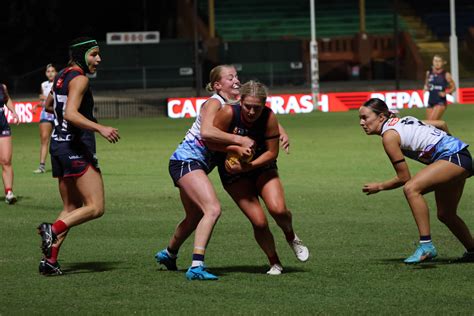 State Of Play 2024 Sanflw Round 8 Aussie Rules Rookie Me Central