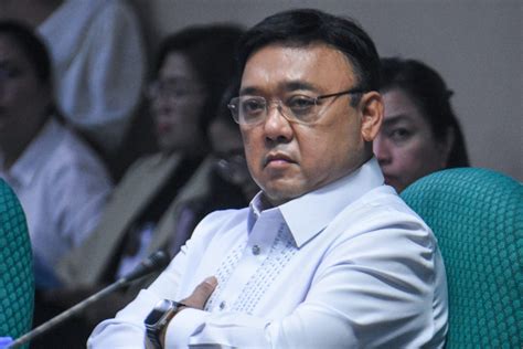 Harry Roque S Footprint Is Everywhere In POGO Documents Testimonies