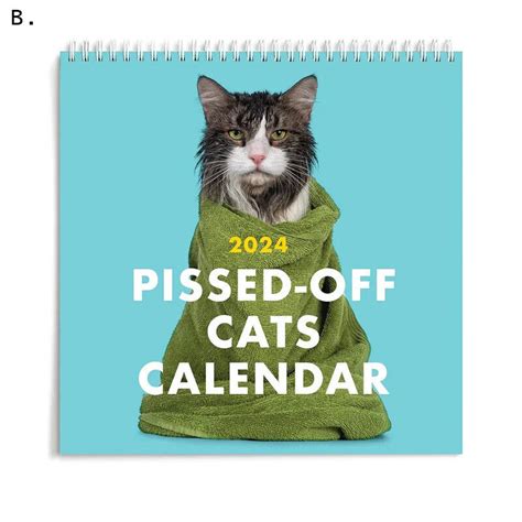 2023 2024 Pissed Off Cats Calendar Funny Cat Wall Calendar Hb Ebay