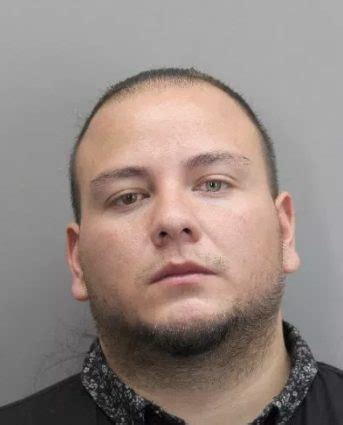 FCPD Convicted Sex Offender Arrested After Trying To Enter Elementary School Tysons Reporter