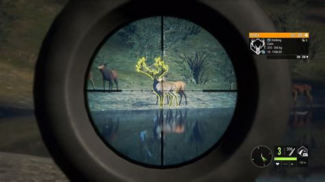 Best Time To Hunt Red Deer In Hunter Call Of The Wild At William