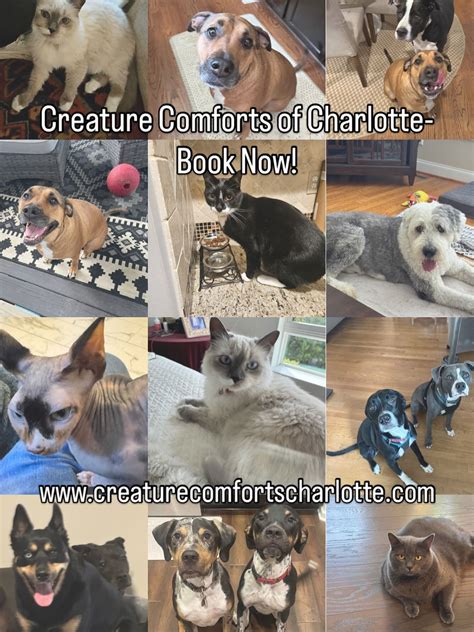 Creature Comforts of Charlotte Pet Sitting | Charlotte NC