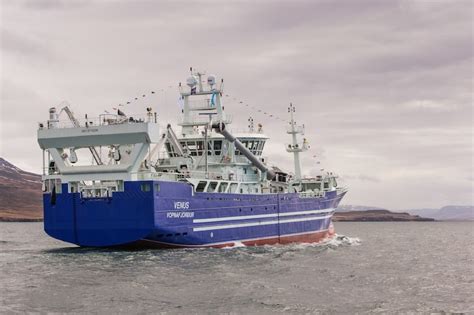 Iceland boosts capelin quota - FiskerForum