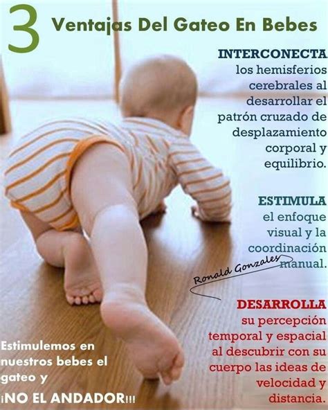 Como Enseñar A Un Niño A Gatear Niños Relacionados