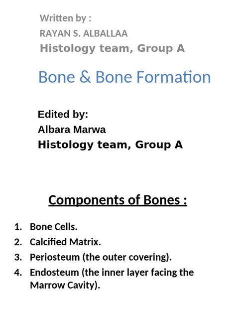 bone bone formation  bone osteoblast
