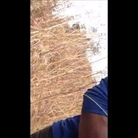 Cruising Black Guy Free Gay Porn Video D8 XHamster XHamster