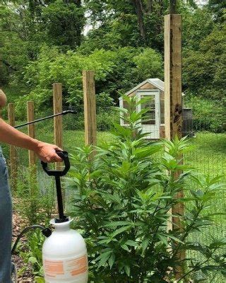 The Naked Gardener Nude Porn Pictures Xxx Photos Sex Images Pictoa