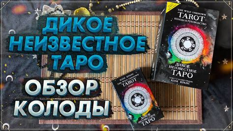 Обзор колоды Дикое Неизвестное Таро I Wild Unknown Tarot I ЭКСМО I Таро ...