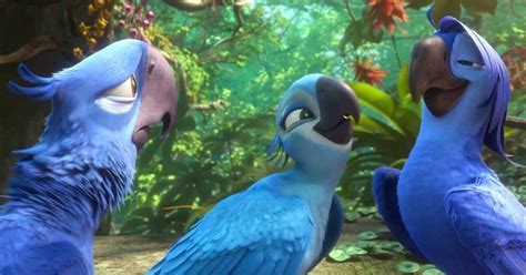 Awesome Spixs Macaw That Inspired Blu In Film Rio Is The Latest