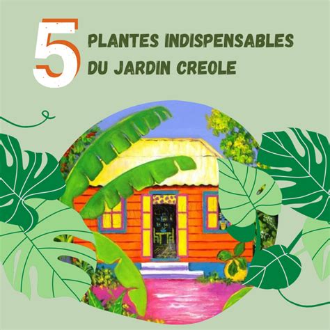 Les 5 plantes indispensables du jardin créole La Fleur Curieuse