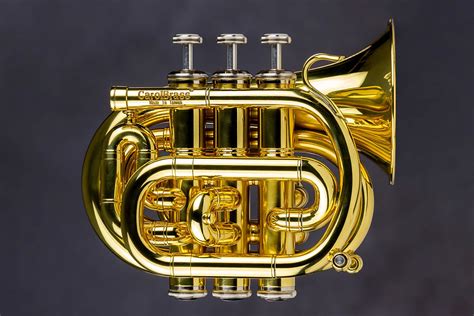 carol brass mini  trumpet niche trumpet
