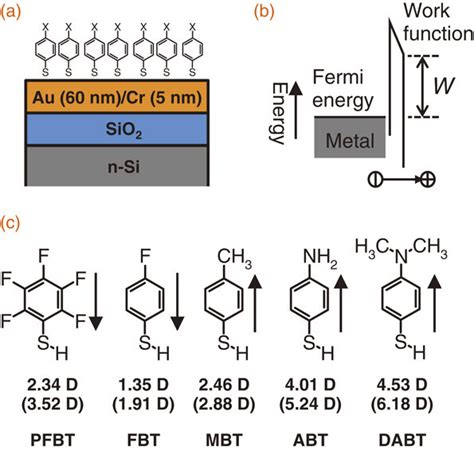 A Schematic Illustration Of The Au Surface Modified With A