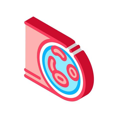 healthy artery isometric icon vector illustration  vector art