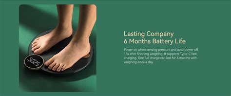 Haylou Smart Body Fat Scale Price in Bangladesh - Motion View