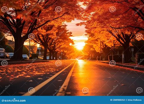 autumn orange sunset  park landscapesun beam orange trees