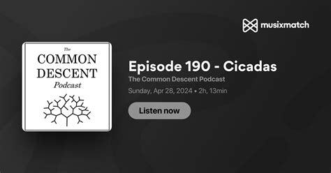 Episode 190 Cicadas Transcript The Common Descent Podcast