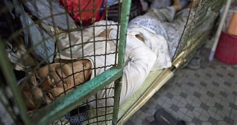 Cage Homes: 21 Grim Photos Of Hong Kong's Housing Crisis