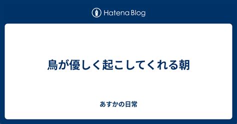 鳥が優しく起こしてくれる朝 あすかの日常