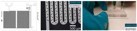 Microfluidic Lab-On-a-Chip device for passive mixing and magnetic ...