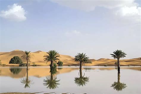 Fotos Raras Mostram Enchentes No Maior Deserto Quente Da Terra O Saara