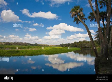 Myakka River In Myakka River State Park Sarasota Florida Stock Photo