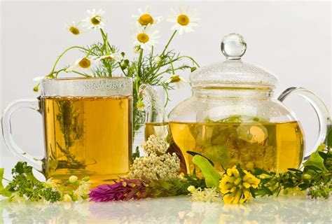 10 Herbs That Detoxify Your Body Naturally Emedihealth