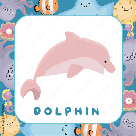 sea animal flashcards  kids introducing  sea animals  children